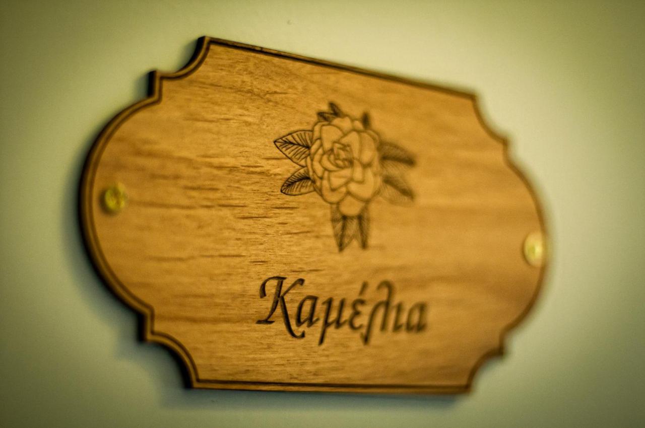 Áno Lekhónia Archontiko Tsaknaki Manolia酒店 外观 照片